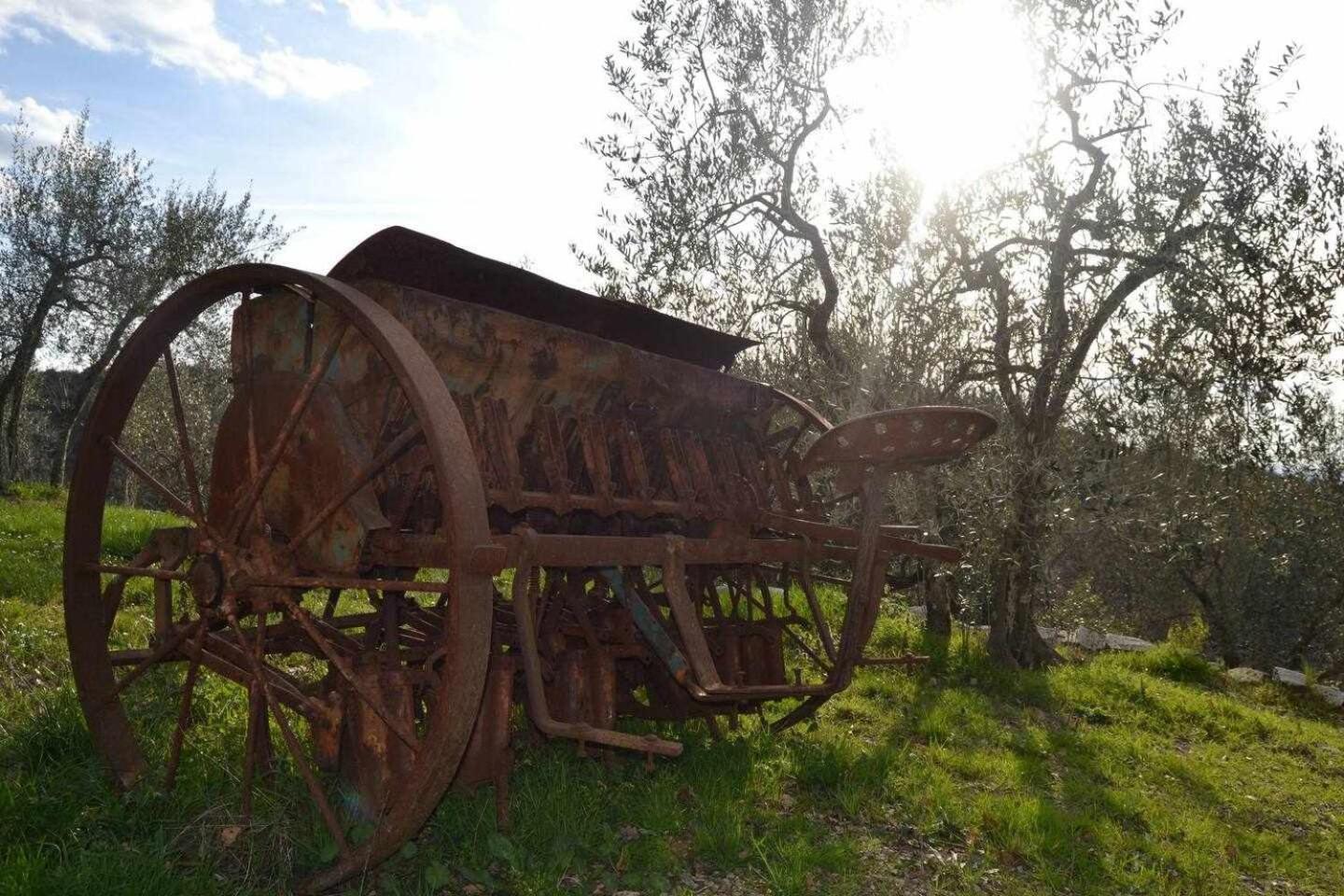 Agriturismo San Silvestro San Donato in Poggio Buitenkant foto