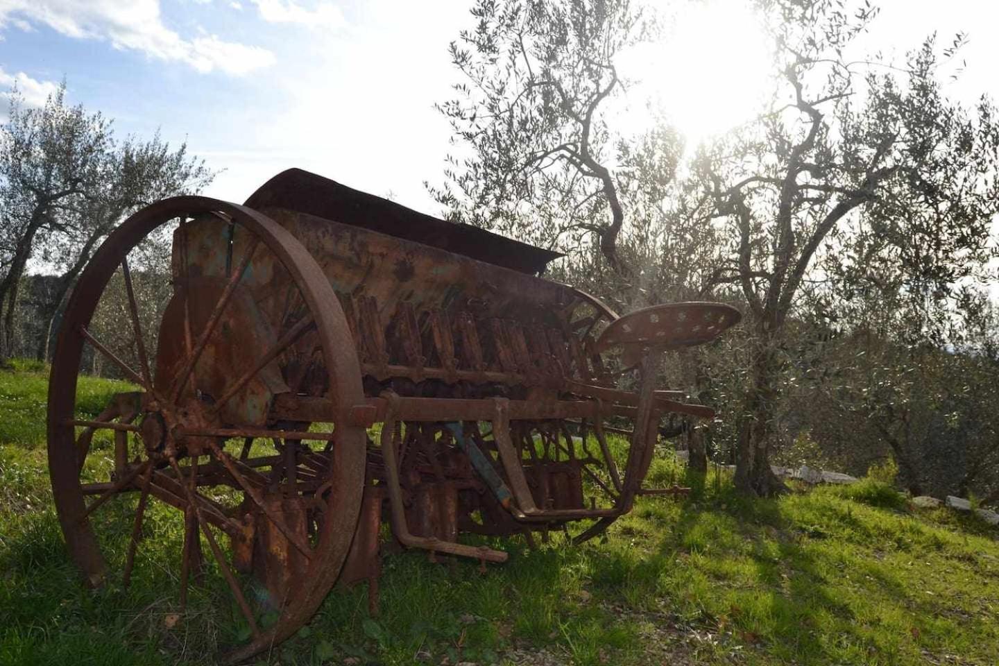 Agriturismo San Silvestro San Donato in Poggio Buitenkant foto